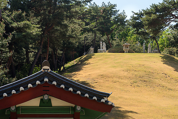 포토 JPG 주간 나무 한국전통 여행 유적지 풍경 사람없음 야외 관광지 봄 세계문화유산 문화재 묘 역사 한국사 조선시대 사적지 정릉 조선왕릉 수라간 신덕왕후 국내포토 자연요소 식물 전통 계절 고건축 한국 왕릉 파일형식 왕후