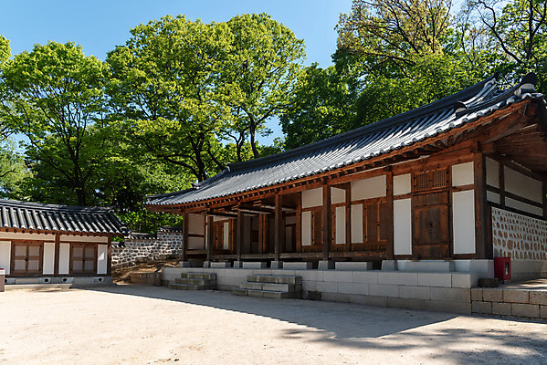 포토 JPG 주간 나무 한국전통 여행 유적지 풍경 사람없음 야외 관광지 봄 세계문화유산 문화재 역사 한국사 조선시대 기와지붕 사적지 재실 정릉 조선왕릉 신덕왕후 국내포토 자연요소 식물 전통 계절 고건축 지붕 한국 기와 왕릉 파일형식 왕후