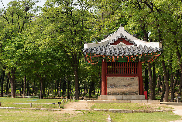 포토 JPG 주간 나무 한국전통 여행 유적지 풍경 사람없음 야외 관광지 봄 세계문화유산 문화재 역사 한국사 조선시대 비각 사적지 선릉 조선왕릉 정현왕후 국내포토 자연요소 식물 전통 계절 고건축 한국 왕릉 파일형식 왕후