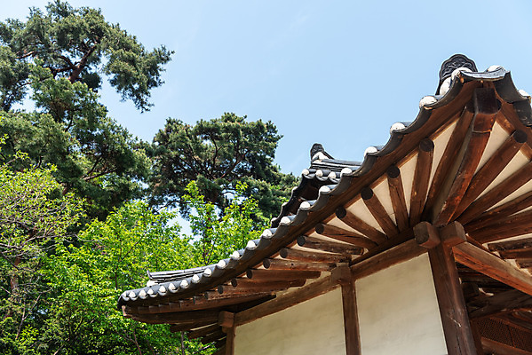 포토 JPG 주간 나무 한국전통 로우앵글 여행 유적지 하늘 풍경 사람없음 야외 관광지 봄 세계문화유산 문화재 역사 한국사 조선시대 기와지붕 사적지 선릉 재실 조선왕릉 정현왕후 국내포토 자연요소 식물 전통 계절 뷰포인트 고건축 지붕 한국 기와 왕릉 파일형식 왕후