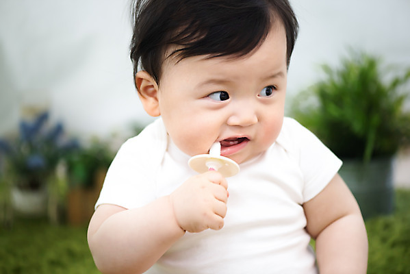 포토 JPG 스튜디오촬영 남자 실내 건강 한명 들기 앉기 상반신 앞모습 귀여움 한국인 성장 아기 보호 칫솔 치아건강 남자아기한명만 국내포토 1 뷰포인트 컨셉 모션 사람 동양인 내부 위생용품 남자한명만 남자아기만 파일형식