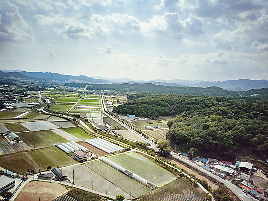 포토 JPG 주간 구름 여행 자연 하늘 한국 논 풍경 사람없음 야외 여름 관광지 맑음 여름풍경 항공촬영 국내여행 명승지 제천 전경 국내포토 자연요소 계절 아시아 뷰포인트 농업 날씨 생태계 충청북도 파일형식 탑뷰 여름_계절