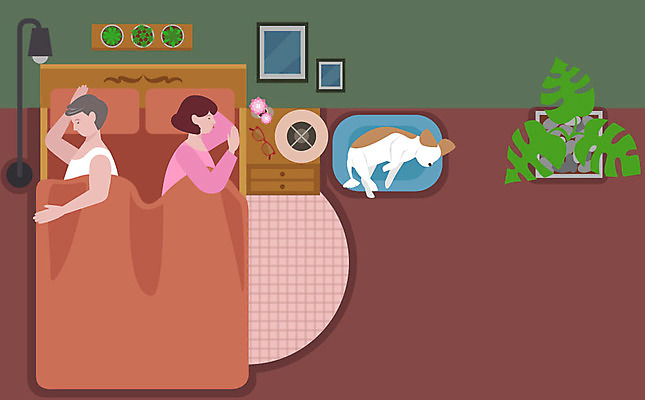 한마리 부부 여자 남자 화분 중년 쿠션 일러스트 선반 사람 두명 등돌리기 침대 강아지 무관심 갱년기 반려 중년만 국내일러스트 AI파일 1 커플 감정 가구 모션 성인 반려동물 개 증상 성인만 파일형식 벡터