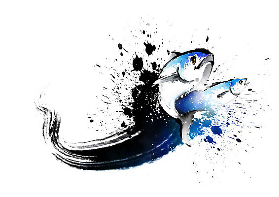 PSD 파도 두마리 일러스트 식재료 캘리그라피 붓터치 어류 사람없음 파란색 참치 해산물 번짐 국내일러스트 바다 컬러 2 수중동물 파일형식 효과