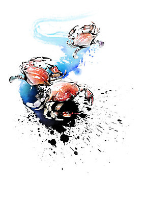 PSD 파도 바다 일러스트 식재료 캘리그라피 붓터치 세마리 갑각류 사람없음 파란색 게 해산물 번짐 국내일러스트 동물 컬러 3 파일형식 효과