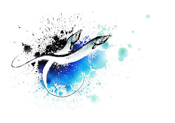 PSD 파도 바다 두마리 일러스트 식재료 캘리그라피 붓터치 어류 사람없음 파란색 해산물 번짐 갈치 국내일러스트 컬러 2 수중동물 파일형식 효과