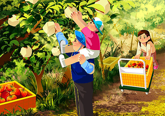 PSD 여자 남자 딸 아들 어린이 일러스트 가족 협력 따뜻함 사람 성인 세명 농장 수확 자녀 가족라이프 체험 목마 아빠 사과 숲 과수원 사과나무 사과농장 주말농장 국내일러스트 나무 라이프스타일 컨셉 농업 과일 관계 파일형식