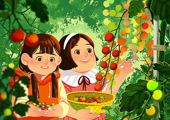 PSD 여자 어린이 일러스트 가족 방울토마토 협력 따뜻함 사람 두명 농장 수확 가족라이프 체험 자매 비닐하우스 주말농장 여자만 국내일러스트 라이프스타일 컨셉 농업 토마토 관계 파일형식
