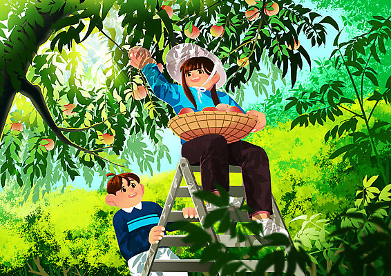 PSD 여자 남자 어린이 일러스트 사다리 가족 협력 따뜻함 남매 사람 소녀 소년 두명 농장 가족라이프 체험 숲 복숭아 주말농장 국내일러스트 라이프스타일 컨셉 농업 과일 관계 도구 파일형식