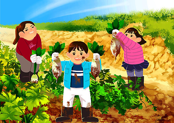 PSD 여자 남자 어린이 밭 일러스트 가족 협력 들기 사람 소녀 소년 세명 농장 갈색 수확 가족라이프 체험 무 뽑기 주말농장 어린이만 국내일러스트 라이프스타일 컬러 컨셉 농업 관계 모션 뿌리채소 파일형식