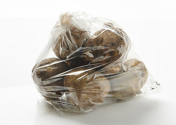 포토 JPG 스튜디오촬영 채소 식재료 감자 실내 누끼 사람없음 여러개 신선 흰배경 유기농 비닐포장 국내포토 웰빙 다수 백그라운드 포장 내부 흰색 파일형식