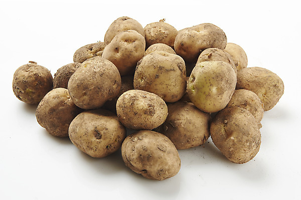 포토 JPG 스튜디오촬영 채소 식재료 감자 실내 누끼 사람없음 쌓기 여러개 신선 흰배경 유기농 국내포토 웰빙 다수 백그라운드 모션 내부 흰색 파일형식