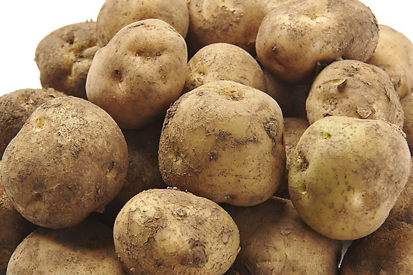 포토 JPG 스튜디오촬영 채소 식재료 감자 실내 누끼 사람없음 쌓기 여러개 신선 흰배경 유기농 국내포토 웰빙 다수 백그라운드 모션 내부 흰색 파일형식