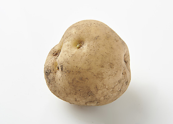 포토 JPG 스튜디오촬영 채소 식재료 감자 실내 누끼 사람없음 한개 신선 흰배경 유기농 국내포토 1 웰빙 백그라운드 내부 흰색 파일형식