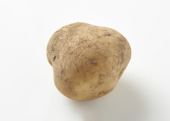 포토 JPG 스튜디오촬영 채소 식재료 감자 실내 누끼 사람없음 한개 신선 흰배경 유기농 국내포토 1 웰빙 백그라운드 내부 흰색 파일형식