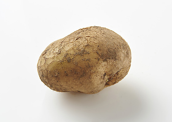 포토 JPG 스튜디오촬영 채소 식재료 감자 실내 누끼 사람없음 한개 신선 흰배경 유기농 국내포토 1 웰빙 백그라운드 내부 흰색 파일형식