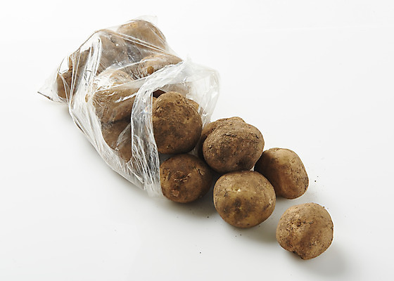 포토 JPG 스튜디오촬영 채소 식재료 감자 실내 누끼 사람없음 여러개 신선 흰배경 유기농 비닐포장 국내포토 웰빙 다수 백그라운드 포장 내부 흰색 파일형식