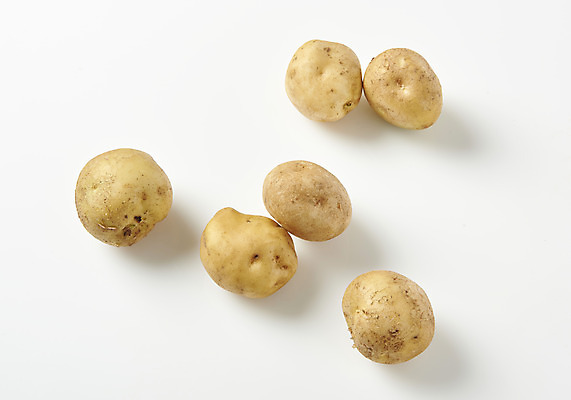 포토 JPG 스튜디오촬영 채소 식재료 감자 실내 누끼 사람없음 하이앵글 여러개 신선 흰배경 유기농 플랫레이 국내포토 웰빙 뷰포인트 다수 백그라운드 내부 흰색 플랫 파일형식