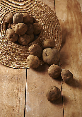 포토 JPG 스튜디오촬영 채소 식재료 감자 실내 누끼 사람없음 하이앵글 여러개 신선 유기농 밀짚모자 플랫레이 나무배경 국내포토 모자_잡화 웰빙 뷰포인트 다수 백그라운드 내부 플랫 파일형식