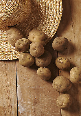 포토 JPG 스튜디오촬영 채소 식재료 감자 실내 누끼 사람없음 하이앵글 여러개 신선 유기농 밀짚모자 플랫레이 나무배경 국내포토 모자_잡화 웰빙 뷰포인트 다수 백그라운드 내부 플랫 파일형식