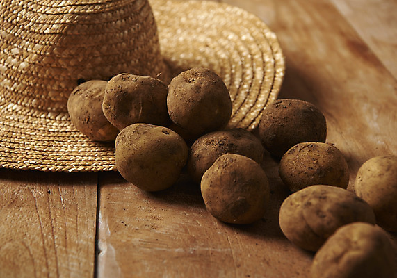 포토 JPG 스튜디오촬영 채소 식재료 감자 실내 누끼 사람없음 여러개 신선 유기농 밀짚모자 나무배경 국내포토 모자_잡화 웰빙 다수 백그라운드 내부 파일형식