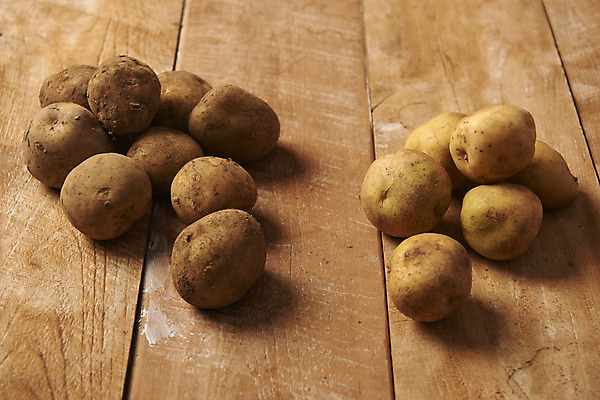 포토 JPG 스튜디오촬영 채소 식재료 감자 실내 누끼 사람없음 여러개 신선 유기농 나무배경 국내포토 웰빙 다수 백그라운드 내부 파일형식