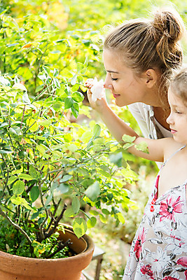 포토 JPG 주간 서양인 외국인 응시 여자 꽃 딸 어린이 가족 자연 모녀 엄마 서기 미소 사람 소녀 상반신 20대 야외 두명 옆모습 캐주얼 여름 금발 화목 가족라이프 즐거움 코 향기 냄새 체코 여자만 국내포토 자연요소 식물 라이프스타일 헤어스타일 시선 옷 계절 감정 유럽 뷰포인트 컨셉 관계 모션 표정 인종 청년 신체부위 생태계 파일형식