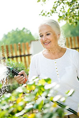 포토 JPG 주간 서양인 외국인 식물 응시 여자 노년 할머니 자연 한명 서기 미소 들기 사람 상반신 성인 야외 앞모습 캐주얼 물 여름 실버라이프 백발 60대 즐거움 물주기 체코 노인여자한명만 국내포토 자연요소 1 라이프스타일 헤어스타일 시선 옷 계절 감정 유럽 뷰포인트 모션 표정 인종 생태계 여자한명만 노인여자만 파일형식