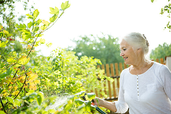 포토 JPG 주간 서양인 외국인 식물 응시 여자 노년 할머니 자연 한명 서기 미소 들기 사람 상반신 성인 야외 옆모습 캐주얼 물 여름 실버라이프 백발 60대 즐거움 물주기 체코 노인여자한명만 국내포토 자연요소 1 라이프스타일 헤어스타일 시선 옷 계절 감정 유럽 뷰포인트 모션 표정 인종 생태계 여자한명만 노인여자만 파일형식