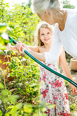 포토 JPG 주간 서양인 외국인 식물 여자 노년 할머니 어린이 가족 자연 손녀 미소 들기 사람 상반신 성인 야외 두명 옆모습 캐주얼 물 여름 금발 화목 물뿌리개 백발 가족라이프 60대 즐거움 물주기 체코 여자만 국내포토 자연요소 라이프스타일 헤어스타일 옷 계절 감정 유럽 뷰포인트 컨셉 관계 모션 표정 인종 손주 생태계 파일형식