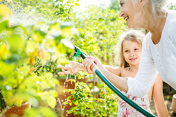포토 JPG 주간 서양인 외국인 식물 여자 노년 할머니 어린이 가족 자연 손녀 미소 들기 사람 상반신 성인 야외 두명 옆모습 캐주얼 물 여름 금발 화목 물뿌리개 백발 가족라이프 60대 즐거움 물주기 체코 여자만 국내포토 자연요소 라이프스타일 헤어스타일 옷 계절 감정 유럽 뷰포인트 컨셉 관계 모션 표정 인종 손주 생태계 파일형식