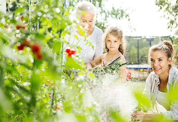 포토 JPG 주간 서양인 외국인 식물 응시 여자 할머니 어린이 가족 자연 엄마 대가족 서기 미소 들기 사람 상반신 20대 성인 야외 옆모습 캐주얼 세명 여름 금발 화목 백발 가족라이프 60대 즐거움 체코 여자만 국내포토 자연요소 라이프스타일 헤어스타일 시선 옷 계절 노년 감정 유럽 뷰포인트 컨셉 관계 모션 표정 인종 청년 생태계 파일형식