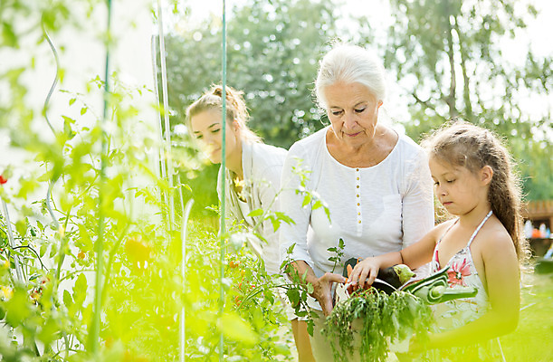 포토 JPG 주간 서양인 외국인 식물 응시 여자 할머니 어린이 가족 자연 엄마 대가족 서기 미소 들기 사람 상반신 20대 성인 야외 옆모습 캐주얼 세명 여름 금발 화목 백발 가족라이프 60대 즐거움 체코 여자만 국내포토 자연요소 라이프스타일 헤어스타일 시선 옷 계절 노년 감정 유럽 뷰포인트 컨셉 관계 모션 표정 인종 청년 생태계 파일형식