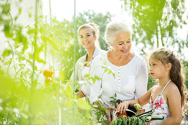 포토 JPG 주간 서양인 외국인 식물 응시 여자 할머니 어린이 가족 자연 엄마 대가족 서기 미소 들기 사람 상반신 20대 성인 야외 옆모습 캐주얼 세명 여름 금발 화목 백발 가족라이프 60대 즐거움 체코 여자만 국내포토 자연요소 라이프스타일 헤어스타일 시선 옷 계절 노년 감정 유럽 뷰포인트 컨셉 관계 모션 표정 인종 청년 생태계 파일형식
