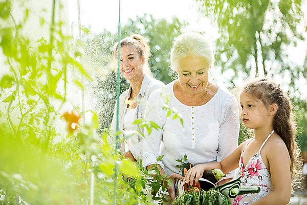 포토 JPG 주간 서양인 외국인 식물 응시 여자 할머니 어린이 가족 자연 엄마 대가족 서기 미소 들기 사람 상반신 20대 성인 야외 옆모습 캐주얼 세명 여름 금발 화목 백발 가족라이프 60대 즐거움 체코 여자만 국내포토 자연요소 라이프스타일 헤어스타일 시선 옷 계절 노년 감정 유럽 뷰포인트 컨셉 관계 모션 표정 인종 청년 생태계 파일형식