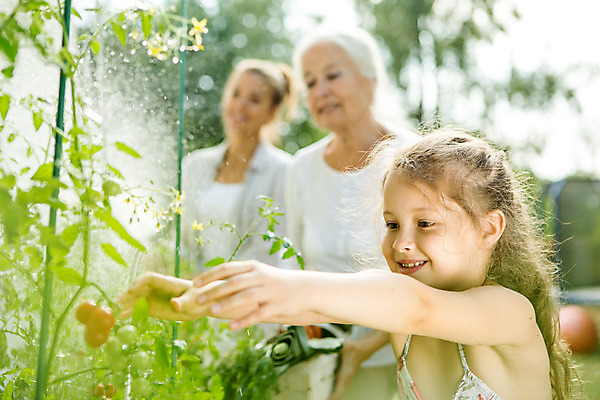 포토 JPG 주간 서양인 외국인 식물 응시 여자 열매 할머니 어린이 가족 자연 엄마 대가족 서기 미소 사람 상반신 20대 성인 야외 옆모습 캐주얼 세명 여름 금발 화목 백발 가족라이프 60대 즐거움 체코 손뻗기 열매따기 여자만 국내포토 자연요소 라이프스타일 헤어스타일 시선 옷 계절 노년 감정 유럽 뷰포인트 컨셉 관계 모션 표정 인종 청년 생태계 파일형식
