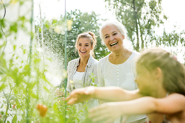 포토 JPG 주간 서양인 외국인 식물 응시 여자 열매 할머니 어린이 자연 엄마 서기 미소 사람 소녀 상반신 20대 성인 야외 옆모습 캐주얼 세명 여름 금발 화목 백발 잡기 60대 즐거움 체코 손뻗기 열매따기 여자만 국내포토 자연요소 헤어스타일 시선 옷 계절 노년 감정 유럽 뷰포인트 컨셉 가족 모션 표정 인종 청년 생태계 파일형식