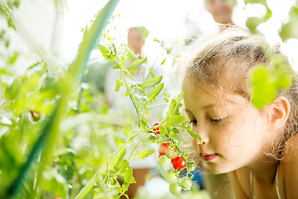 포토 JPG 주간 서양인 외국인 식물 응시 여자 열매 할머니 어린이 가족 자연 엄마 대가족 서기 미소 사람 상반신 20대 성인 야외 옆모습 캐주얼 세명 여름 금발 화목 가족라이프 60대 즐거움 체코 국내포토 자연요소 라이프스타일 헤어스타일 시선 옷 계절 노년 감정 유럽 뷰포인트 컨셉 관계 모션 표정 인종 청년 생태계 파일형식