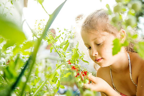 포토 JPG 주간 서양인 외국인 식물 응시 여자 열매 어린이 자연 한명 서기 사람 소녀 상반신 야외 옆모습 캐주얼 여름 금발 잡기 즐거움 체코 소녀한명만 국내포토 자연요소 1 헤어스타일 시선 옷 계절 감정 유럽 뷰포인트 모션 인종 생태계 여자한명만 소녀만 파일형식