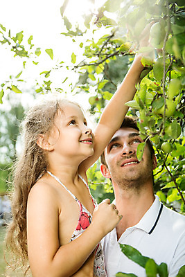 포토 JPG 주간 서양인 외국인 식물 응시 여자 열매 남자 딸 어린이 가족 안기 자연 서기 미소 들기 사람 상반신 성인 야외 두명 옆모습 캐주얼 여름 30대 금발 화목 가족라이프 아빠 즐거움 체코 손뻗기 열매따기 부녀 국내포토 자연요소 라이프스타일 헤어스타일 시선 옷 계절 감정 유럽 뷰포인트 컨셉 관계 모션 표정 인종 장년 생태계 파일형식