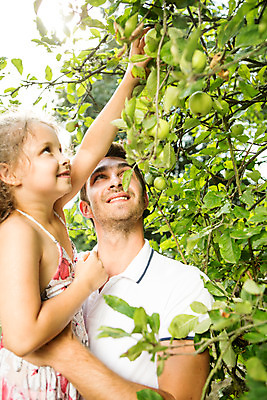 포토 JPG 주간 서양인 외국인 식물 응시 여자 열매 남자 딸 어린이 가족 안기 자연 서기 미소 들기 사람 상반신 성인 야외 두명 옆모습 캐주얼 여름 30대 금발 화목 가족라이프 아빠 즐거움 체코 손뻗기 열매따기 부녀 국내포토 자연요소 라이프스타일 헤어스타일 시선 옷 계절 감정 유럽 뷰포인트 컨셉 관계 모션 표정 인종 장년 생태계 파일형식
