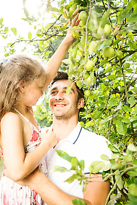 포토 JPG 주간 서양인 외국인 식물 응시 여자 열매 남자 딸 어린이 가족 안기 자연 서기 미소 들기 사람 상반신 성인 야외 두명 옆모습 캐주얼 여름 30대 금발 마주보기 화목 가족라이프 아빠 즐거움 체코 손뻗기 열매따기 부녀 국내포토 자연요소 라이프스타일 헤어스타일 시선 옷 계절 감정 유럽 뷰포인트 컨셉 관계 모션 표정 인종 장년 생태계 파일형식