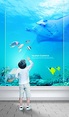 PSD 편집이미지 교육 남자 어린이 어류 한명 서기 사람 소년 뒷모습 파란색 한국인 가리킴 체험학습 체험 해조류 수족관 가오리 에듀 소년한명만 스쿨팩 이미지편집 1 뷰포인트 컬러 컨셉 모션 동양인 손짓 수중동물 해양식물 에듀케이션 남자한명만 소년만 파일형식