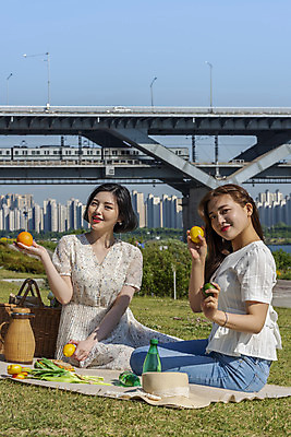 포토 JPG 주간 전신 공원 여자 데이트 과일 샌드위치 미소 앉기 20대 성인 야외 두명 앞모습 옆모습 여름 친구 소풍 우정 한국인 즐거움 한강 한강공원 성인여자만 인싸 국내포토 자연요소 계절 공공시설 감정 음식 뷰포인트 관계 모션 서울 표정 사람 동양인 청년 야외활동 신조어 랜드마크 약어 여자만 성인만 파일형식