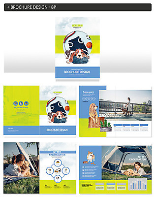 템플릿 여자 ZIP 반려견 여러마리 팜플렛 20대 성인 세명 초록색 파란색 반려동물 산책 한국인 개 골든리트리버 강아지 비글 반려 성인여자만 인디자인 INDD 펫코노미 이미지템플릿 반려용품 동물 컬러 다수 포유류 휴식 사람 동양인 청년 경제 리트리버 오브젝트 여자만 성인만 파일형식