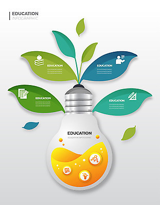 교육 잎 일러스트 전구 그래프 사람없음 그래픽 컬러풀 인포그래픽 에듀 에듀케이션 스쿨팩 국내일러스트 AI파일 식물 컬러 파일형식 벡터