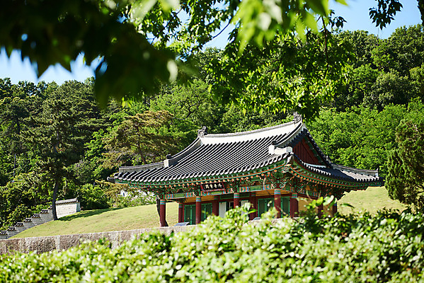 포토 JPG 주간 나무 한국전통 여행 유적지 풍경 사람없음 야외 관광지 맑음 봄 세계문화유산 문화재 역사 한국사 강화도 국내여행 사적지 고려궁지 외규장각 국내포토 자연요소 식물 전통 계절 고건축 날씨 한국 인천 파일형식