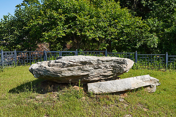 포토 JPG 주간 나무 한국전통 여행 유적지 풍경 사람없음 야외 관광지 맑음 봄 세계문화유산 문화재 역사 한국사 고인돌 강화도 국내여행 사적지 국내포토 자연요소 식물 전통 계절 고건축 날씨 한국 무덤 청동기 인천 파일형식