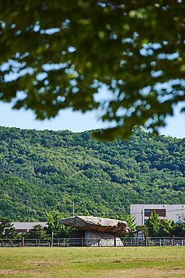 포토 JPG 주간 나무 한국전통 여행 유적지 산 풍경 사람없음 야외 관광지 맑음 봄 세계문화유산 문화재 역사 한국사 고인돌 강화도 국내여행 사적지 국내포토 자연요소 식물 전통 계절 고건축 날씨 한국 무덤 청동기 인천 파일형식
