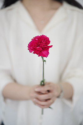 포토 JPG 스튜디오촬영 식물 여자 꽃 한송이 실내 한명 들기 20대 성인 사람없음 아웃포커스 인테리어 한국인 어버이날 스승의날 카네이션 오브젝트 감성 성인여자한명만 국내포토 1 디자인 기념일 컨셉 모션 촬영기법 사람 동양인 청년 내부 송이 여자한명만 성인여자만 파일형식